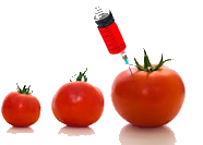 glob smanjenje stan paradajz